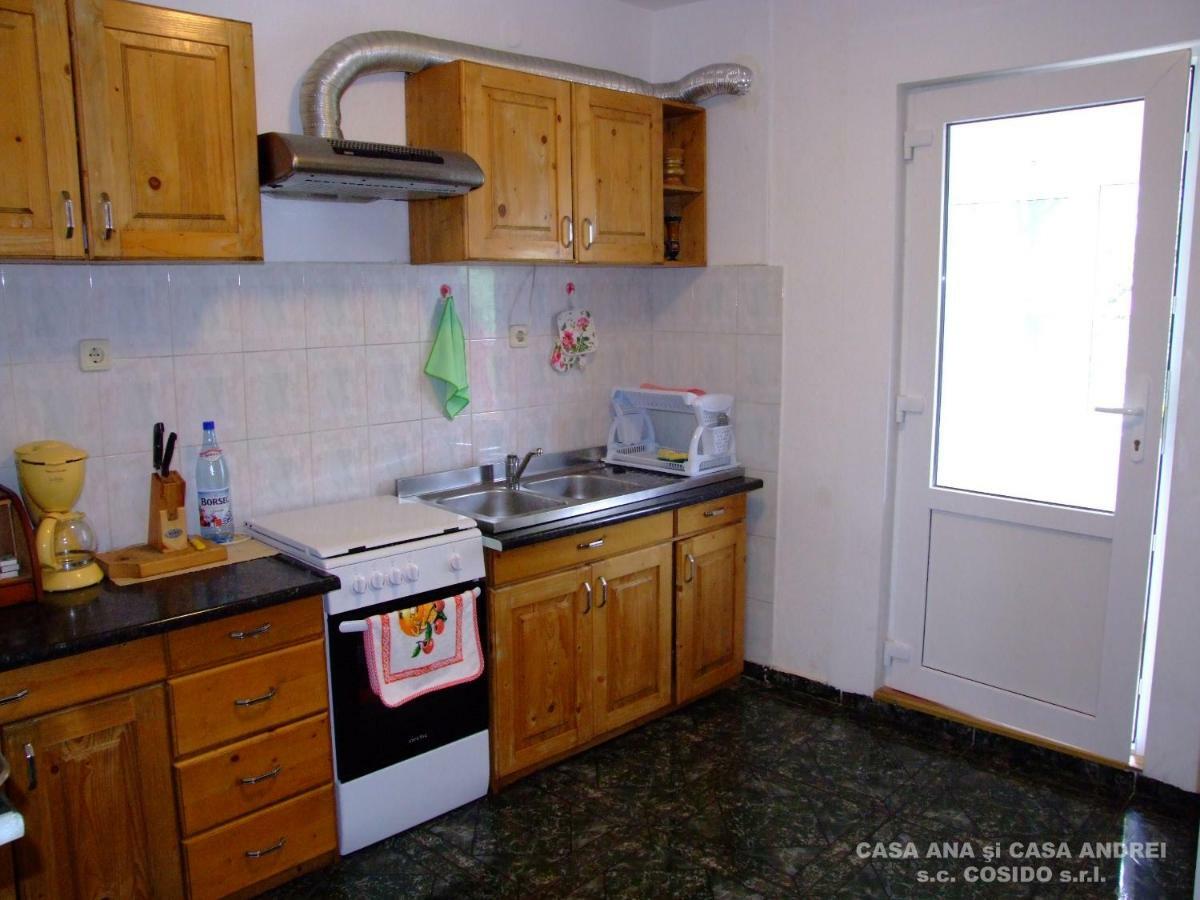 Casa Andrei Vatra Dornei Villa Dealu Floreni Ngoại thất bức ảnh